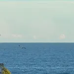 Casa Sarah アパート *