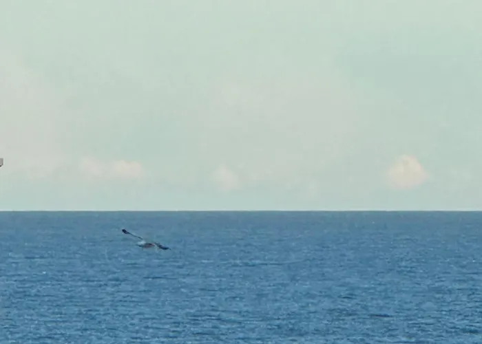 Casa Sarah Apartamento *